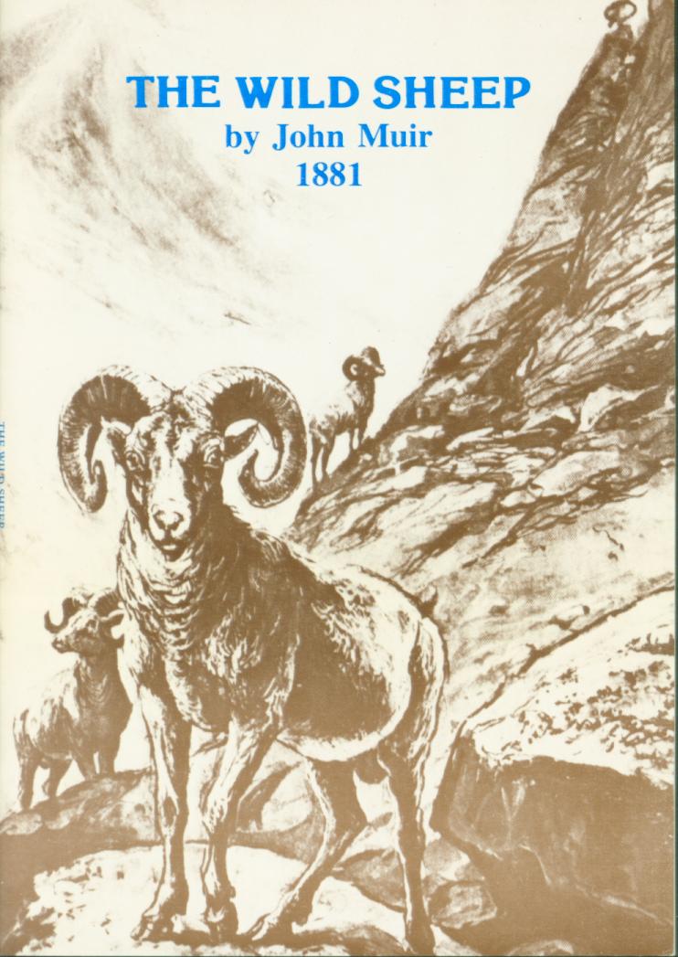 The Wild Sheep, 1881. vist0017 front cover mini